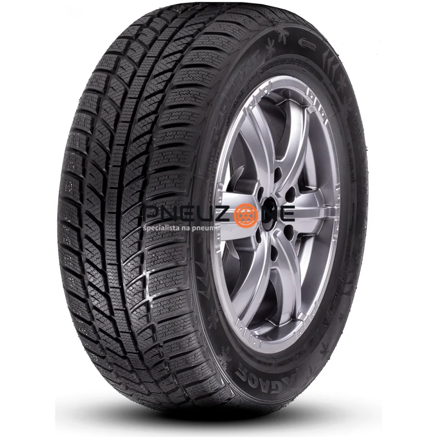 ROADX 205/55 R16 94V XL RXFROST WH01