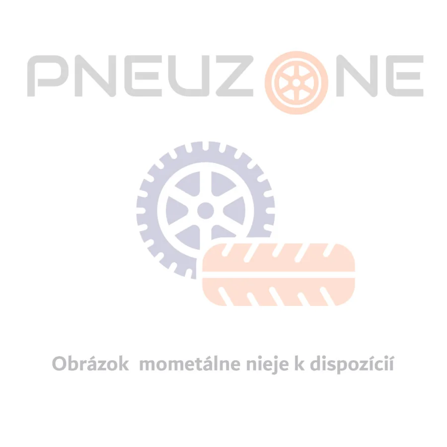 BRIDGESTONE 205/65 R16 107T DURAVIS WINTER